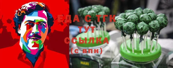 spice Богородицк